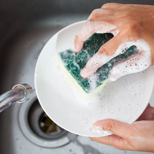 How Long Should You Use a Sponge to Wash Dishes